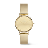 Orologio da donna Daniel Wellington Petite Reflection Gold DW00100797