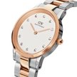 Orologio Daniel Wellington Iconic Link Lumine