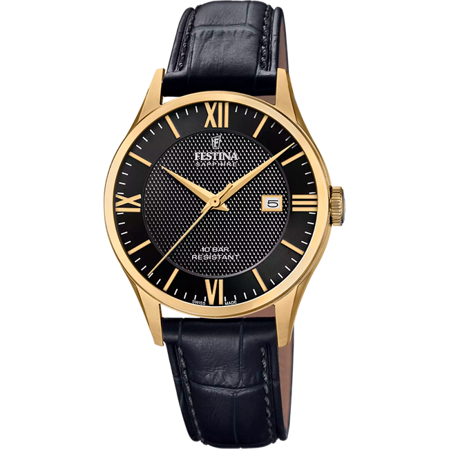Men's watch Festina Swiss Made F20010/4