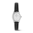 Orologio da donna Daniel Wellington Ophelia Mini Lizard