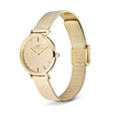 Orologio da donna Daniel Wellington Petite Reflection Gold DW00100797